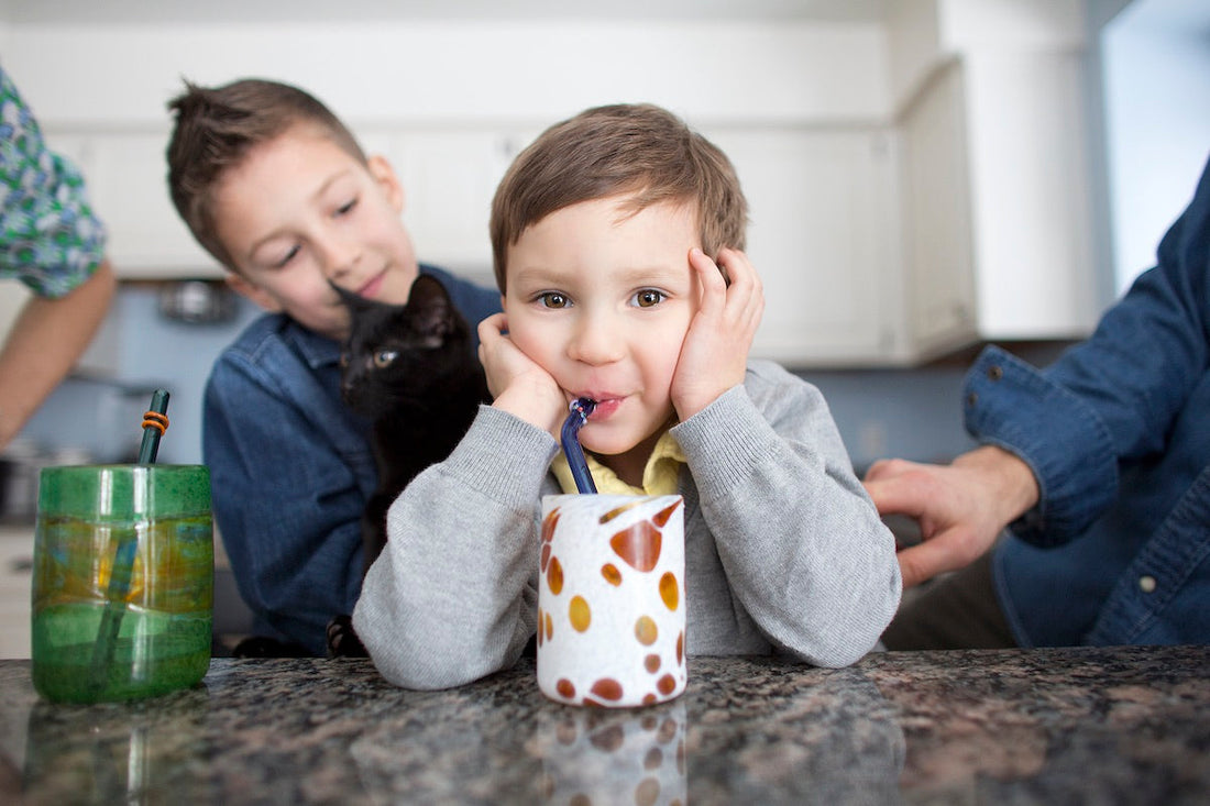 Glass Straws Are Safer and Better – Guaranteed!