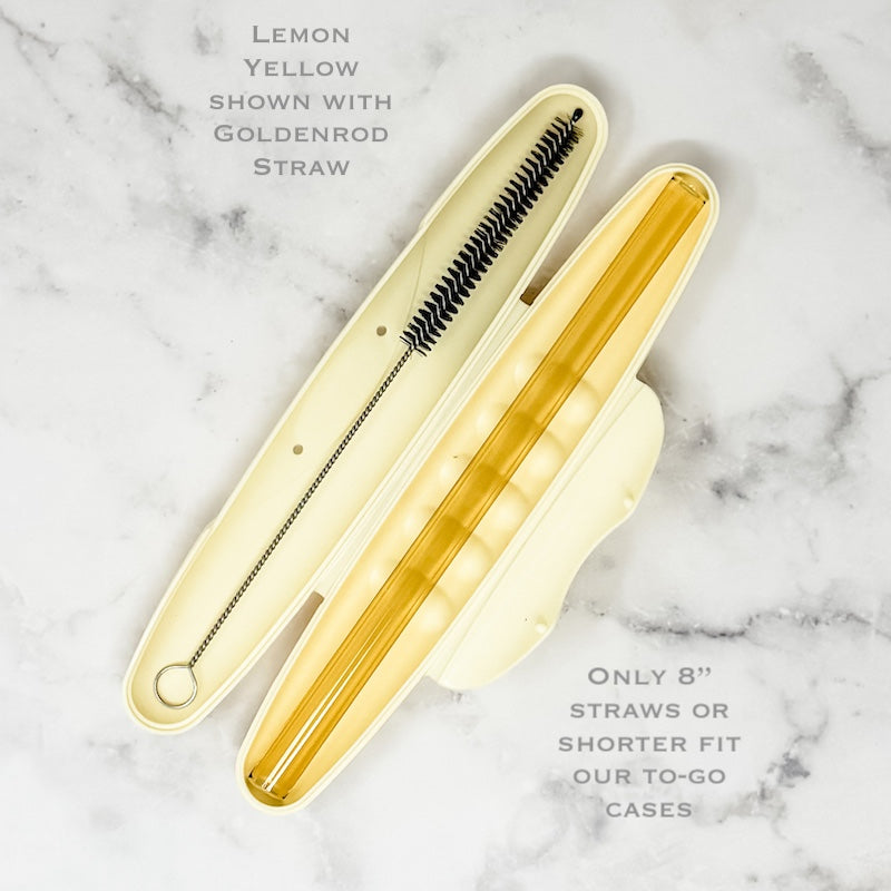 Reusable Straw Travel Kit