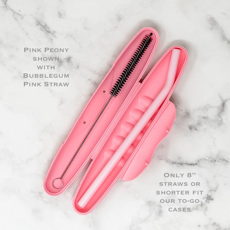 Reusable Straw Travel Kit