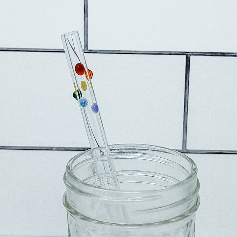 The Rainbow Glass Straw